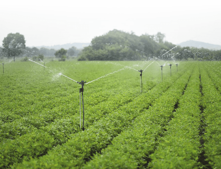 Irrigation Sprinkler